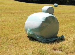 wrapped up hay bales