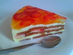 cake with fruit jelly