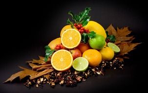 composition of fruits and citrus fruits