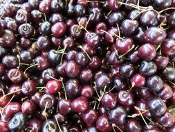 lot of ripe cherries