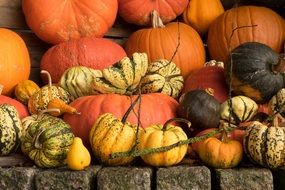 Decoration of different varieties of pumpkins