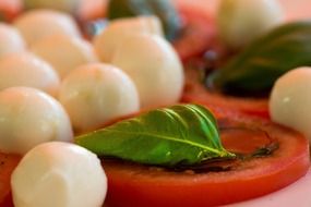 tomato slice with salad and mozzarella