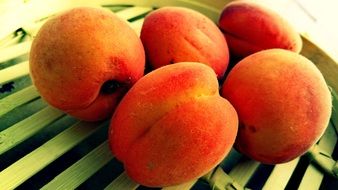 five red apricots on grate