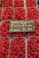 incredibly tasty raspberry market