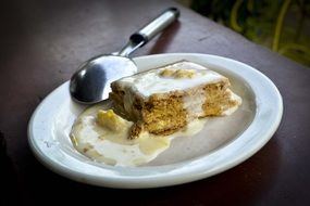 tasty sweet piece of cake on a white plate