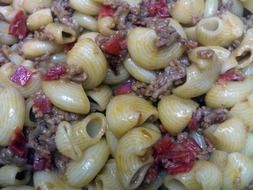 pasta with minced meat and vegetables