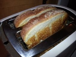 toast bread