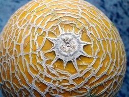 melon in natural cracks