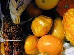 autumn harvest of vegetables