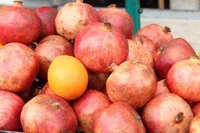 juicy red pomegranate fruit