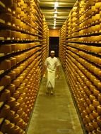 hall at a cheese factory