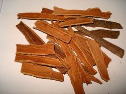 cinnamon as a spice