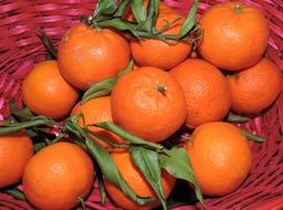 tangerine orange fruit in basket