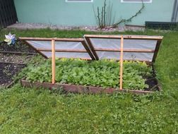 salad in a wooden frame