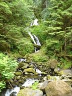 waterfall of lake quinault