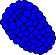 drawn blackberry