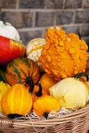 basket with decorative squashes