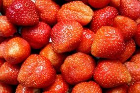 sweet delicious strawberries fruit