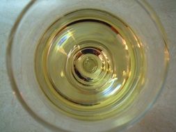 white wine in a glass on a table