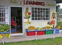 fruits and vegetables store building