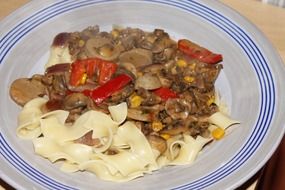 delicious dish, tagliatelle with meat