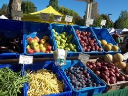 vegetables and fruits in blue boxes on the market