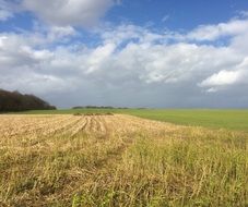 harvested agricultural field