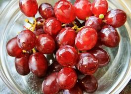 bunch of red grapes on a plate