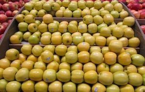 yellow apples on the counter in the market