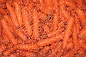Many carrots in the red net
