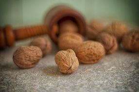 walnuts on the kitchen table