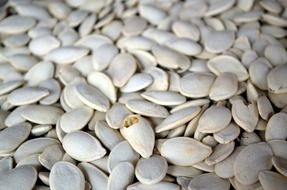 white pumpkin seeds