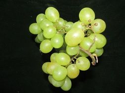 white grapes on a black background