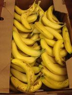 box with yellow bananas