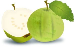healthy green apple as an illustration
