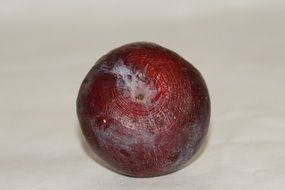 incredibly tasty plum fruit