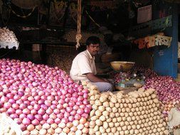 indian vegetable and fruit seller