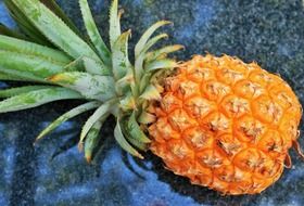 pineapple like tropical fruit