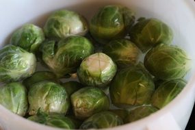 Brussels sprouts in water