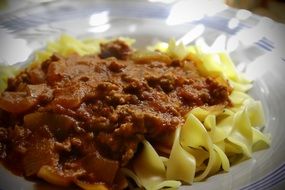 noodles with bolognese sauce