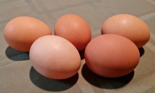 five chicken eggs