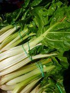 chard is a type of beet