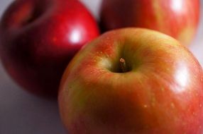 healthy red and yellow apples under the light