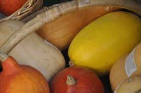 pumpkin fruit basket