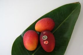 mango on green leaf