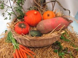 vegetables and fruits for thanksgiving day
