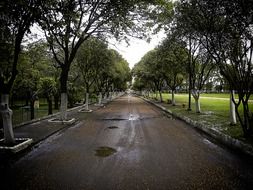 landscape of the path after the rain