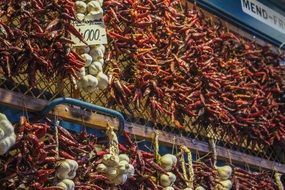 chili garlic tubers at market in hungary