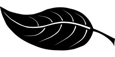 black leaf silhouette