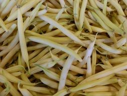 beans vegetables